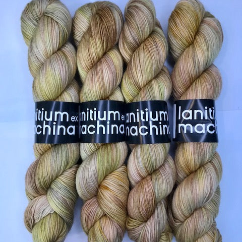 Lanitium ex Machina New Basic Sock
