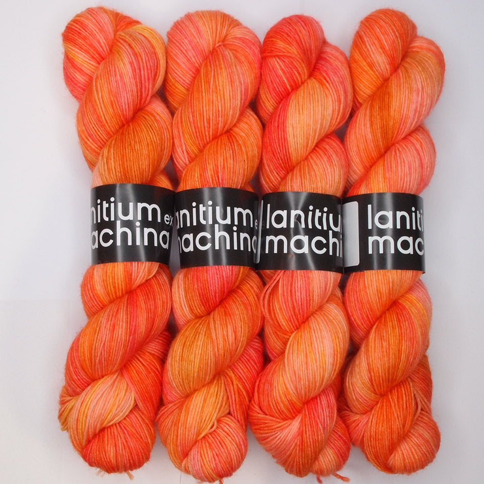 Lanitium ex Machina New Basic Sock