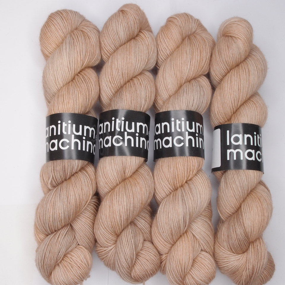 Lanitium ex Machina New Basic Sock