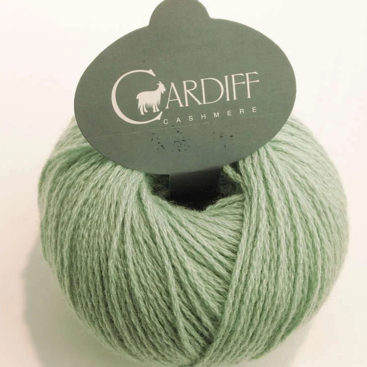 Cardiff Kashmir Classic 6/28 591 Runner