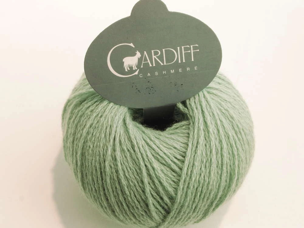 Cardiff Kashmir Classic 6/28 591 Runner