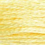 DMC Muliinilanka - 371-740