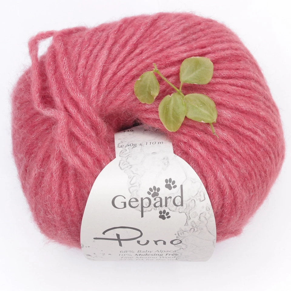 Puno Gepard